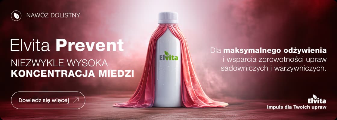 Elvita Prevent Banner