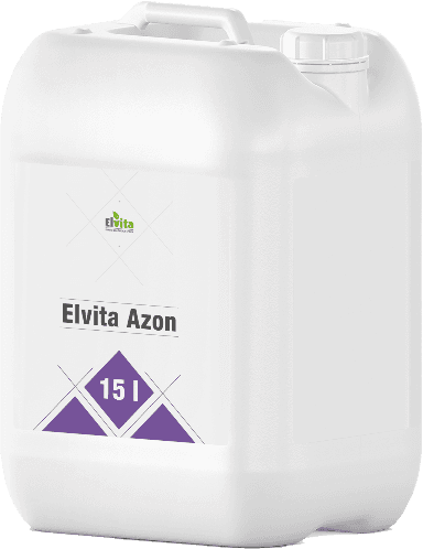 Elvita Azon