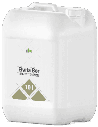 Elvita Bor