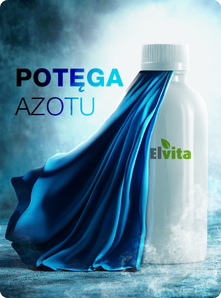 Elvita Azon