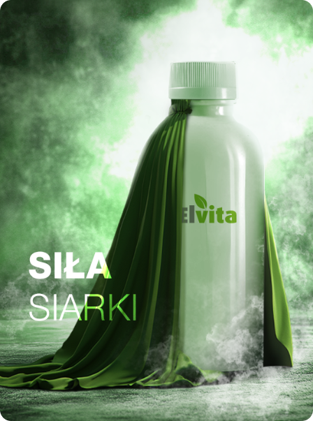 Elvita Sonik