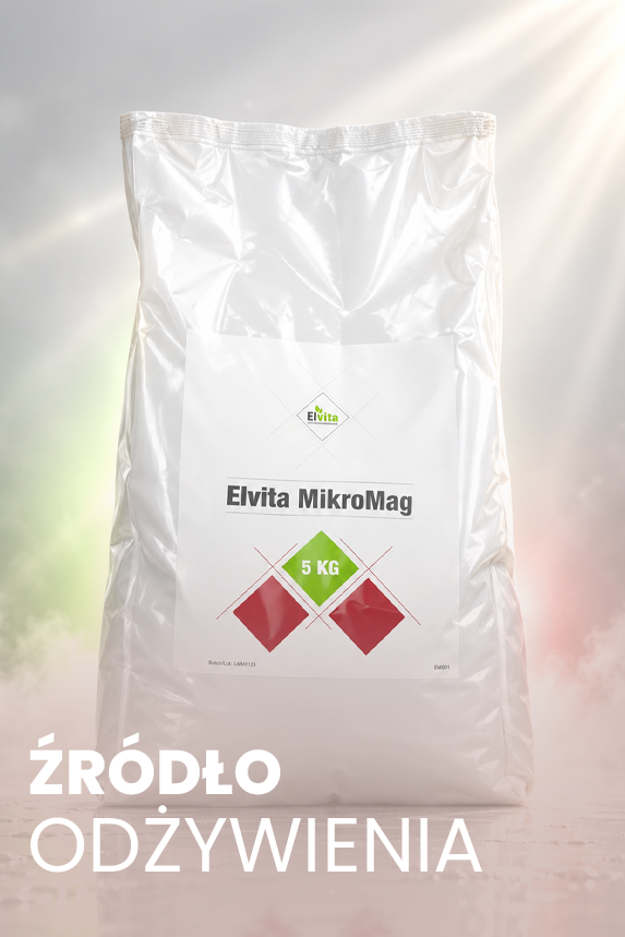 Elvita MikroMag